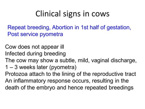 Lecture 12 Bovine Infectious Infertility Ppt