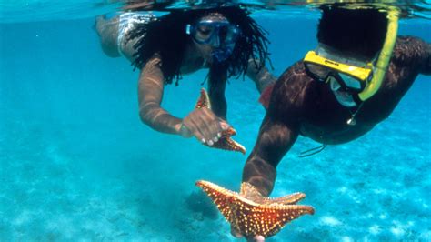 Best snorkeling spots in the Caribbean | Best snorkeling, Family beach ...