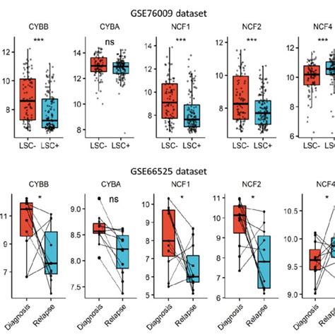 Expression Profile Of Genes Coding For Nox Subunits According To Aml