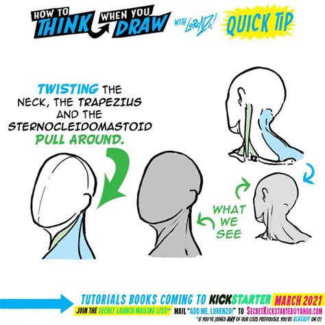 Mastering Neck Anatomy: A Step-by-Step Drawing Tutorial