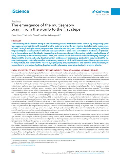 Pdf The Emergence Of The Multisensory Brain From The Womb To The