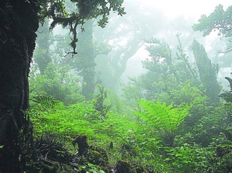 Ihermoso Honduras Podr A Tener En El Sur Otro Patrimonio Mundial