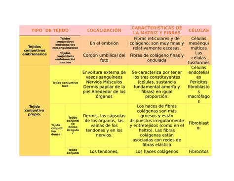 Cuadro Comparativo De Tipos De Tejido Conjuntivo Tipo De Tejido Porn