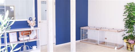 pet salon ru