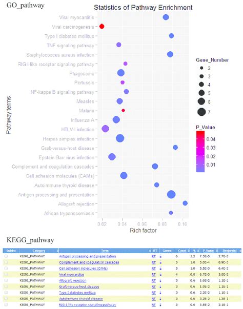 Differentially Expressed Genes Associated Pathways Analysis Download Scientific Diagram