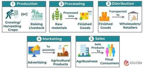 Agribusiness Meaning Examples How It Works Careers