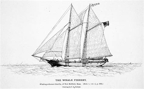 Whaling Ship Drawing At Explore Collection Of