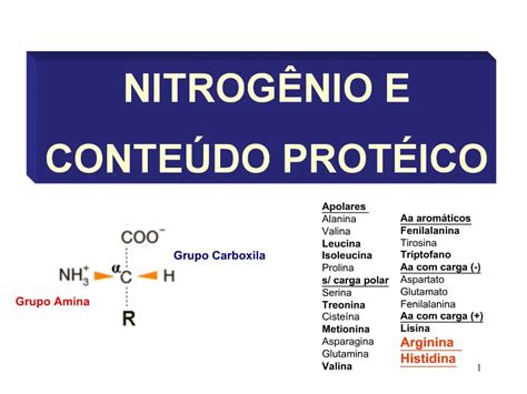 Ppt Nitrog Nio E Conte Do Prot Ico Powerpoint Presentation Free