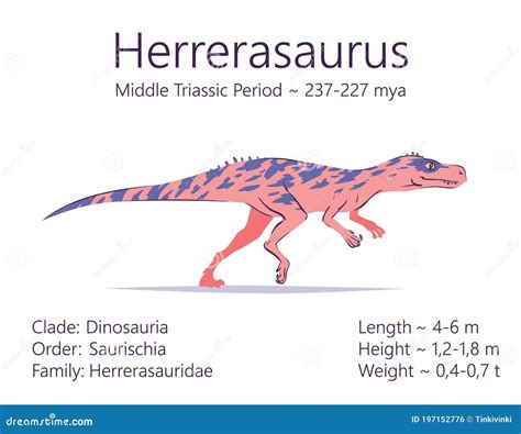 Herrerasaurus Size