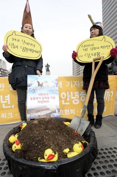 사진 대량축산 하지 맙시다 중앙일보