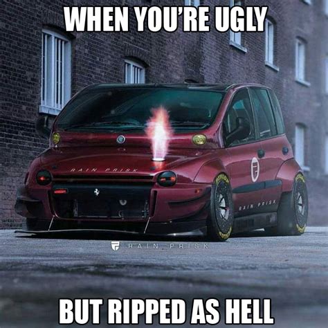 Fiat Multipla Memes