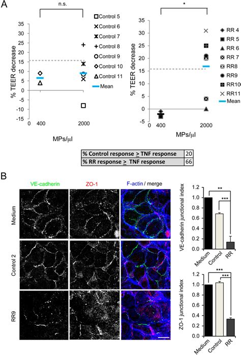 Effect Of Mps On Hcmec D3 Barrier Function A Percentage Of Teer Download Scientific Diagram