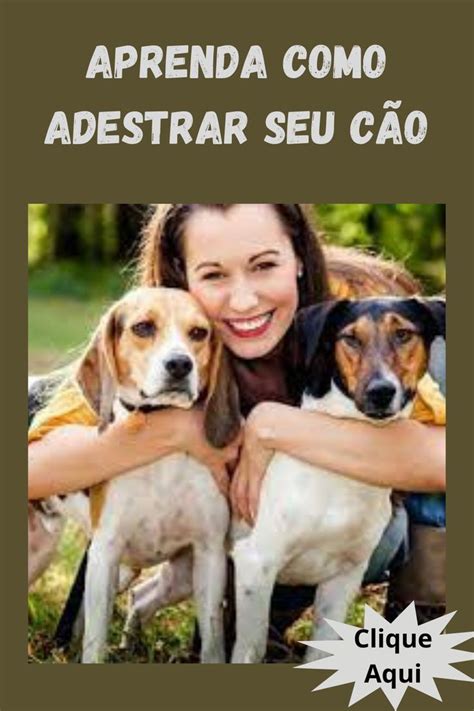 Aprenda Agora Como Adestrar Seu Cachorro Em Casa Passo A Passo Completo