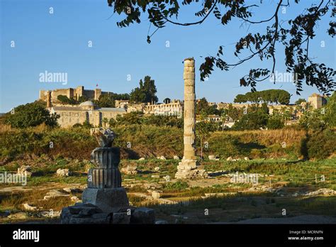 Turkey Izmir Province Selcuk City Archaeological Site Of Ephesus