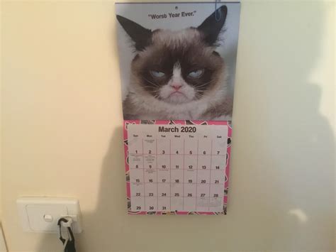 Grumpy Cat Speaks From The Grave Rfunny