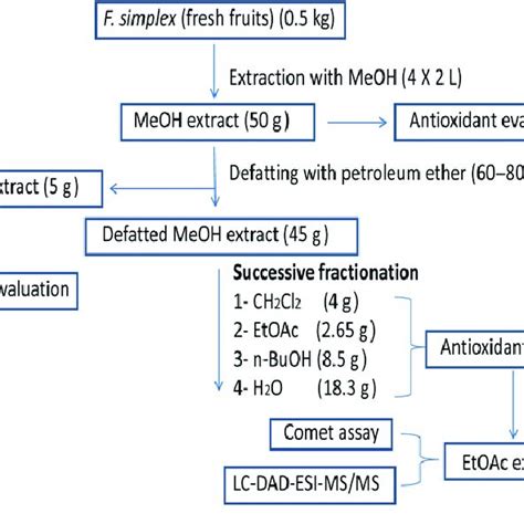 Flow Chart Of Extraction Fractionation Lc Dad Esimsms Analysis And Download Scientific