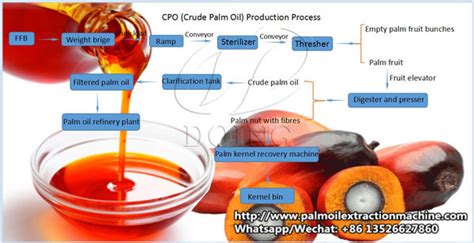 Manufacture Palm oil production process,Low cost price for sale_Palm ...