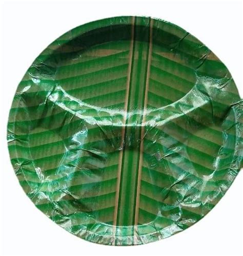 12 Inch 4 CP Printed Paper Plate At Rs 1 40 Piece Samta Vihar