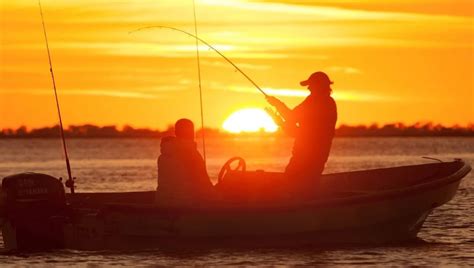 21 De Noviembre Día Mundial De La Pesca