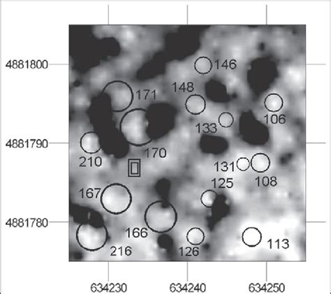 Canopy Height Model Tree Locations And Proportional Tree Crown Download Scientific Diagram