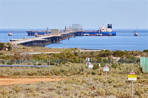 Whyalla Herron Todd White