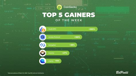 Top Gainers Crypto Galina Marlyn