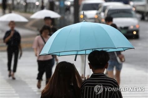 내일29일 오전 오후 날씨곳곳 비 소식미세먼지 농도는 네이트 뉴스