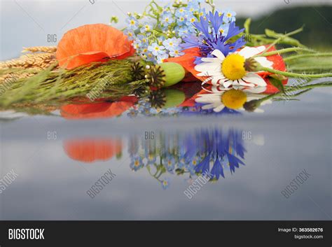 Bouquet Meadow Flowers Image & Photo (Free Trial) | Bigstock