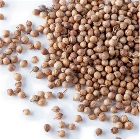 Natural Brown Whole Dry Coriander Seeds For Cooking At Rs 125 Kg In