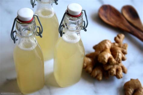 Homemade Ginger Beer Recipe Non Alcoholic | Dandk Organizer