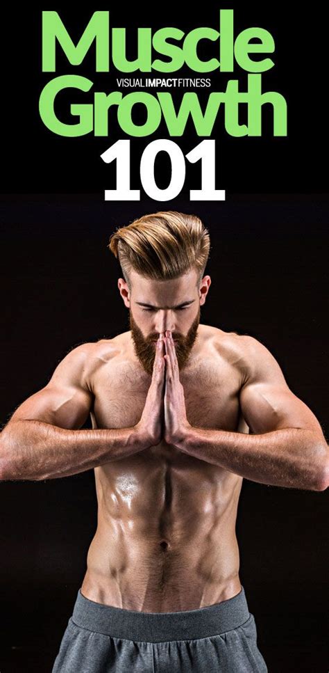 understanding muscle growth muscle growth muscle build muscle