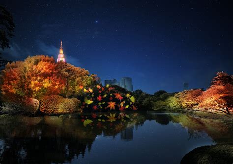 Tokyo NAKED Night Garden At Shinjuku Gyoen Admission In Tokyo And JR