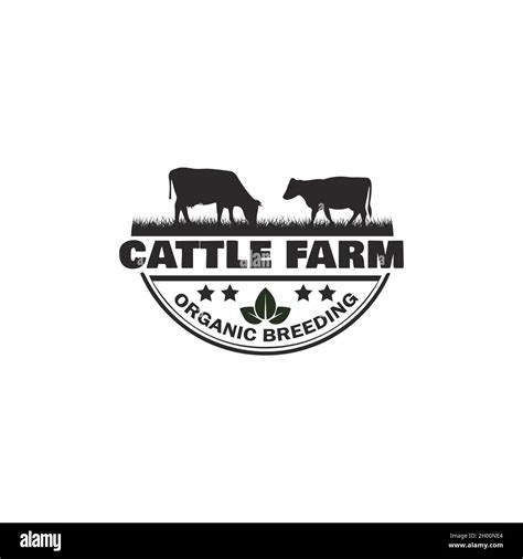 Vector Inspiration For Vintage Cow Beef Farm Logo Design Creative