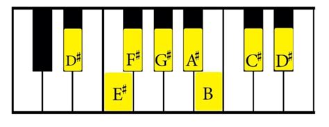 D Sharp Natural Minor Scale Guide For Piano And Guitar