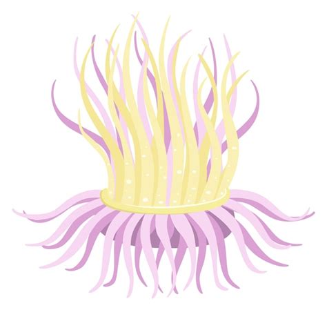 Premium Vector Cartoon Anemone Sea Predator Underwater Life Fauna