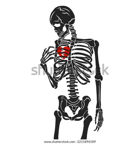 Vintage Skeleton Heart Hand Drawing Vector Stock Vector (Royalty Free ...