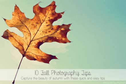 Photography | 10 Tips for Fall Photos – Scrap Booking