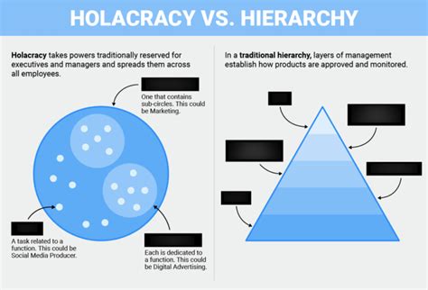 Management Chapter 1 Holacracy Vs Hierarchy Diagram Quizlet