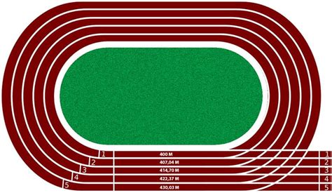 Partes De Una Pista De Atletismo