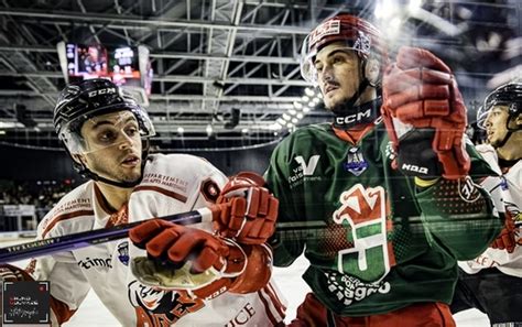 Hockey sur glace Ligue Magnus Ligue Magnus 29ème journée Cergy