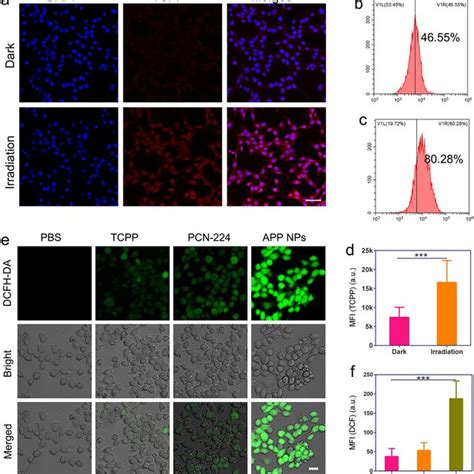 Ac CLSM Images And Flow Cytometry Analysis Of The Intracellular