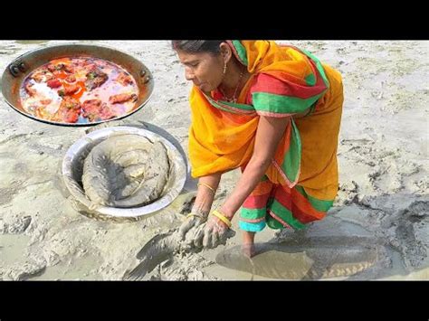 Unique Fishing Style In Mud Pondcatching Big Murral Head Fish Cooking