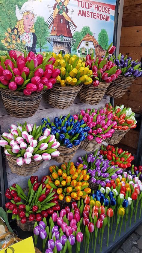 Bloemenmarkt Mercado de Flores Amesterdão Viaje Comigo