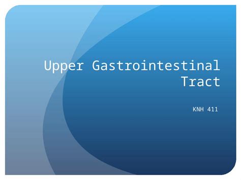 Ppt Upper Gastrointestinal Tract Knh 411 Upper Gi Aandp Stomach