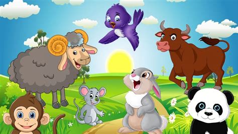 Forest Animal Sounds And Farm Animals Pandas Cows Sheep Turtles