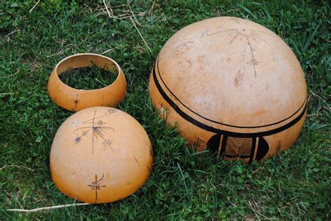 7 Giant African Bushel Gourd Seeds-1180