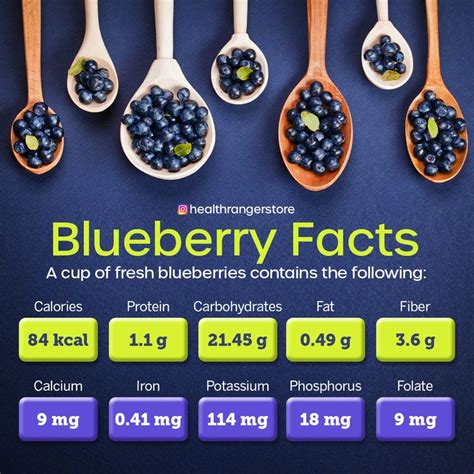 Blueberry Facts In 2020 Nutrition Blueberry Carbohydrates