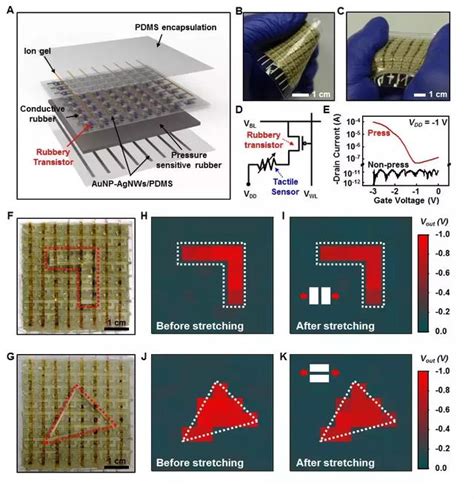 今日science Advances：可拉伸橡膠半導體和集成電路 每日頭條