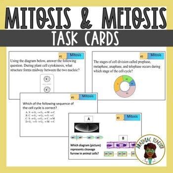 Mitosis And Meiosis TASK CARDS Task Cards Meiosis Mitosis