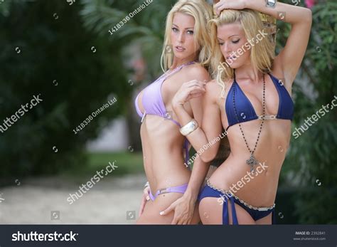 Hot Sexy Blond Babes Bikinis Stock Photo 2392841 Shutterstock